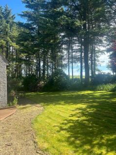 WhatsApp Image 2024-