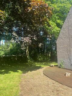 WhatsApp Image 2024-