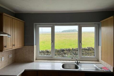 WhatsApp Image 2024-