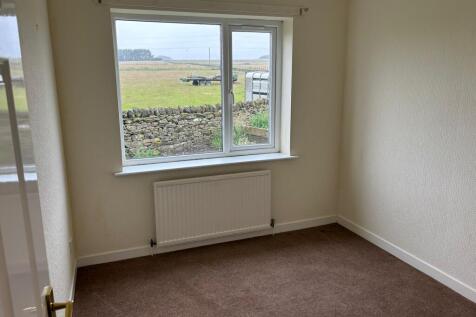 WhatsApp Image 2024-