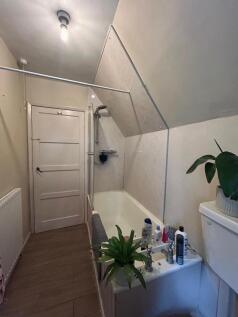 WhatsApp Image 2024-