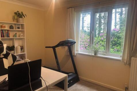 WhatsApp Image 2024-