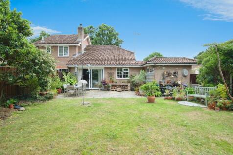 Property Image 16