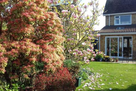 Property Image 26
