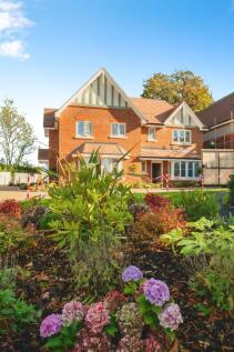 Property Image 34