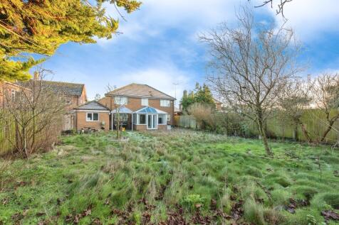 Property Image 16