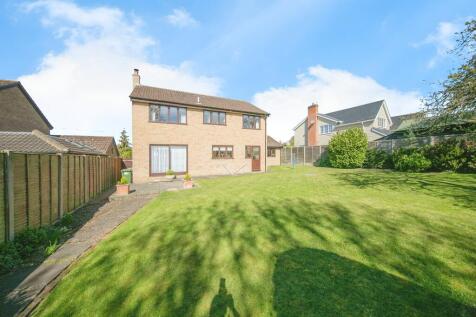 Property Image 16