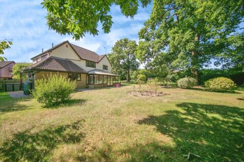 Property Image 11