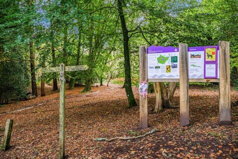 Hesworth Common Fittleworth