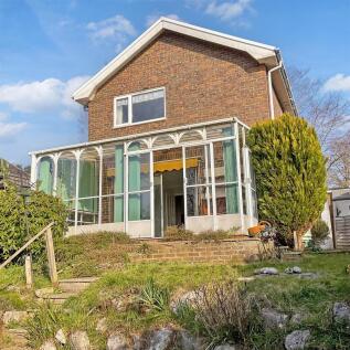 Rear Elevation