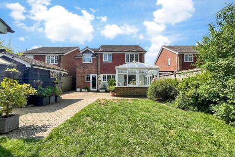 Rear Elevation 1