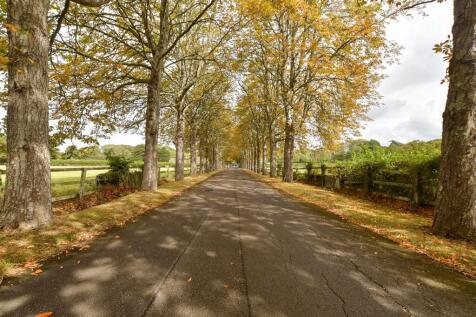 Driveway/Parking