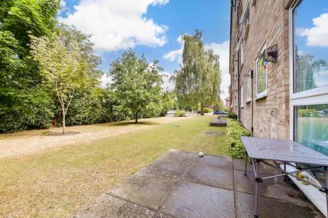 Patio / Decking