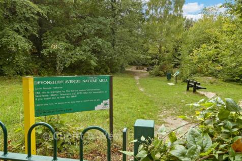 Surrounding Area