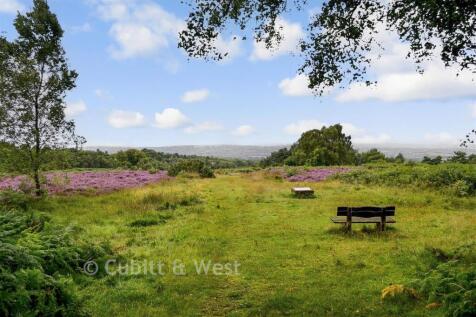 Surrounding Area - Ashdown Forest