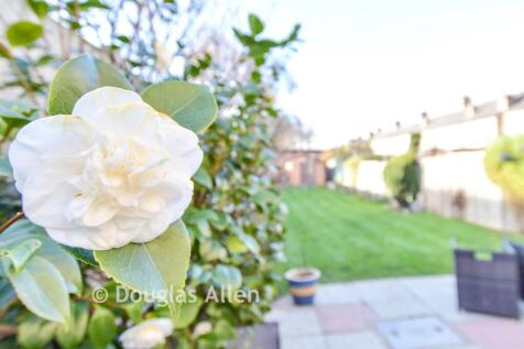 External Lifestyle Photograph