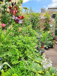 Communal Garden