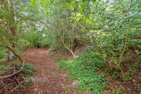 Surrounding Area