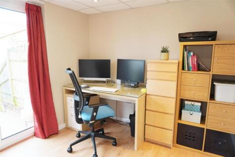 Study- Vendor Photo