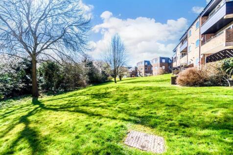 Communal Gardens