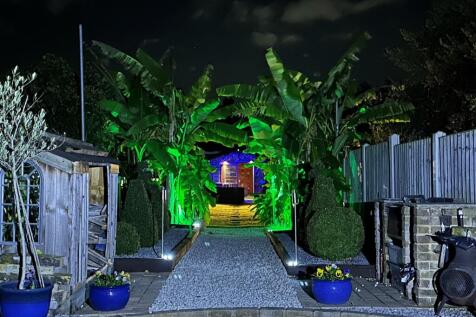 Rear Garden At Night