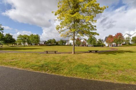 Surrounding Area