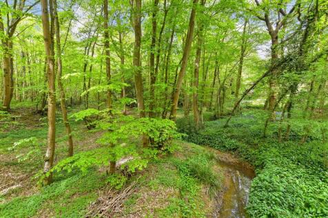 Surrounding Area