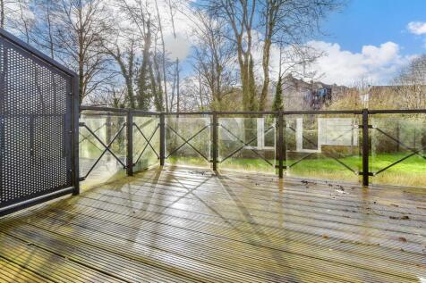 Patio / Decking