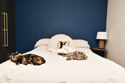 Internal Lifestyle Photograph