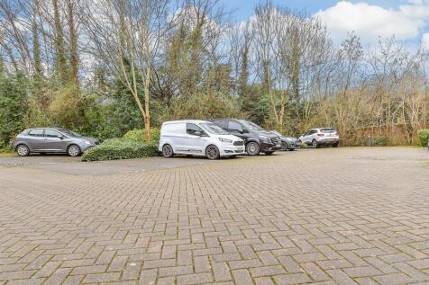 Driveway/Parking