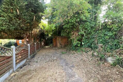 Back Garden