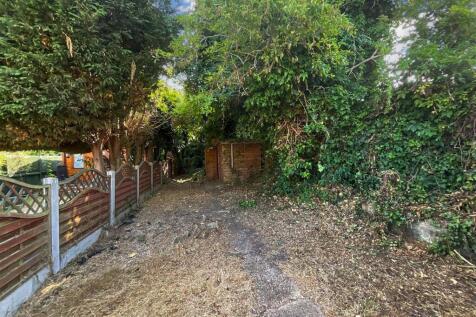 Back Garden