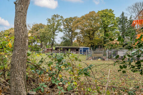 1375827-31-690ca4...