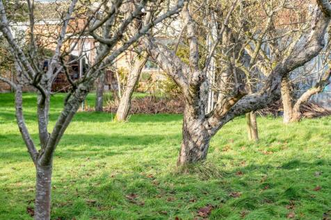 Land at 249-251 Asfordby Road PH-8.jpg