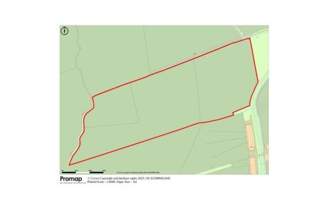 Site Plan.jpg
