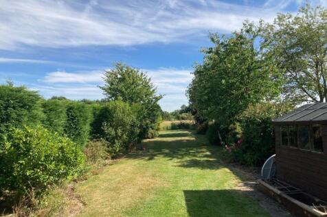 Garden 1.jpg
