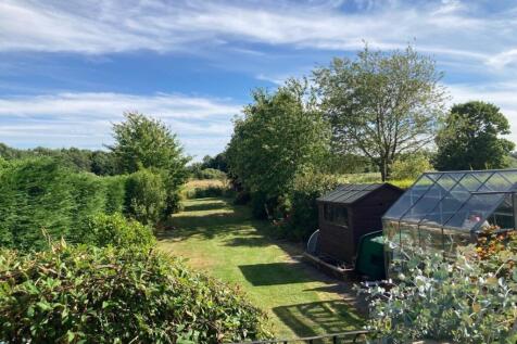 Garden 2.jpg