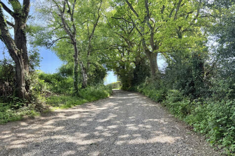 Road