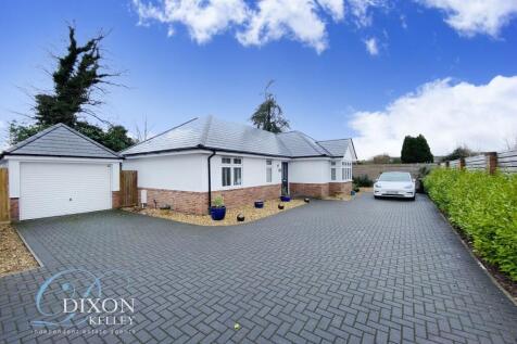 Modern Bungalow