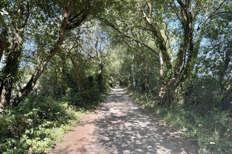 Quiet lane
