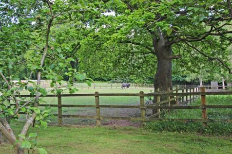 Property Image 64