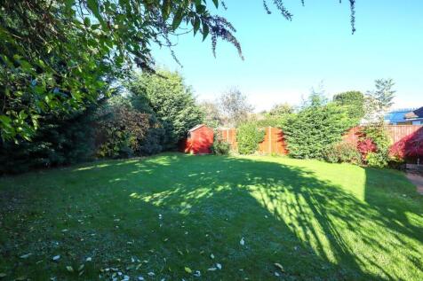 Garden (3).jpg