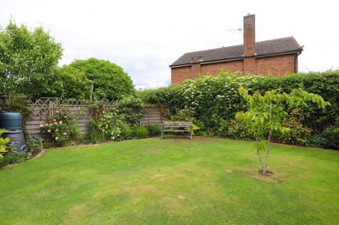Garden (3).jpg