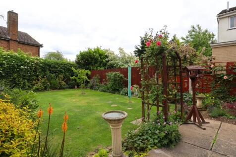 Garden (2).jpg