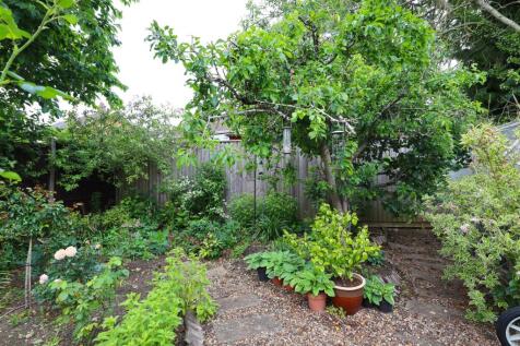 Garden (4).jpg