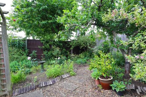 Garden (5).jpg
