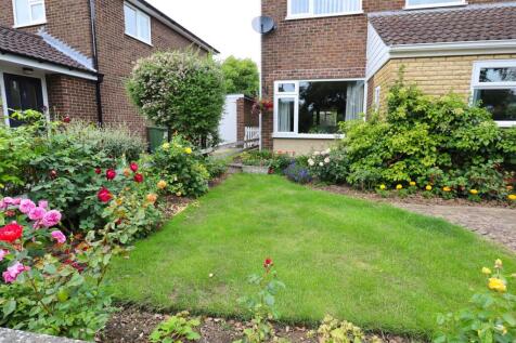 Front garden.jpg
