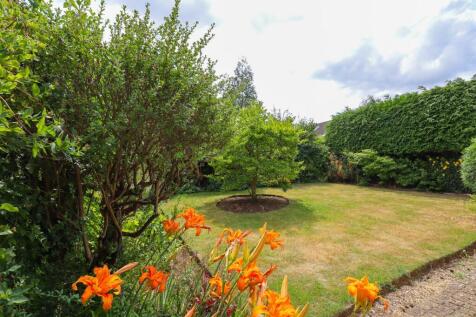 Garden (2).jpg