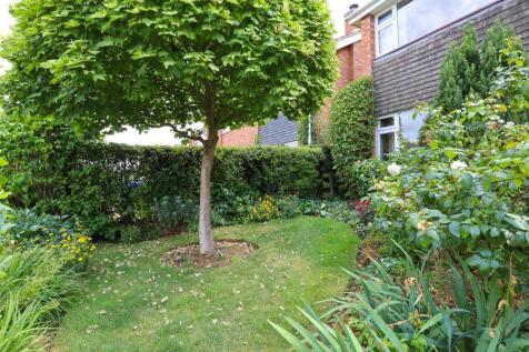 Front garden.jpg