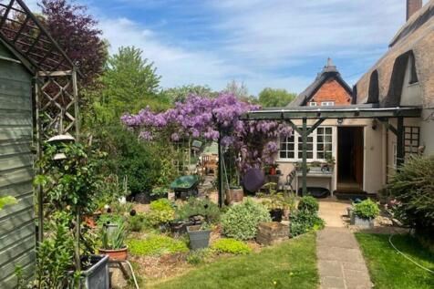 Garden 4.jpg